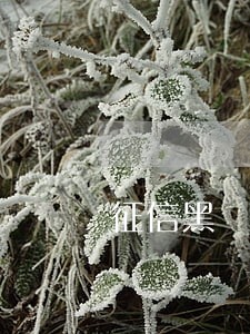 征信黑 网贷逾期3 征信黑 网贷逾期3
